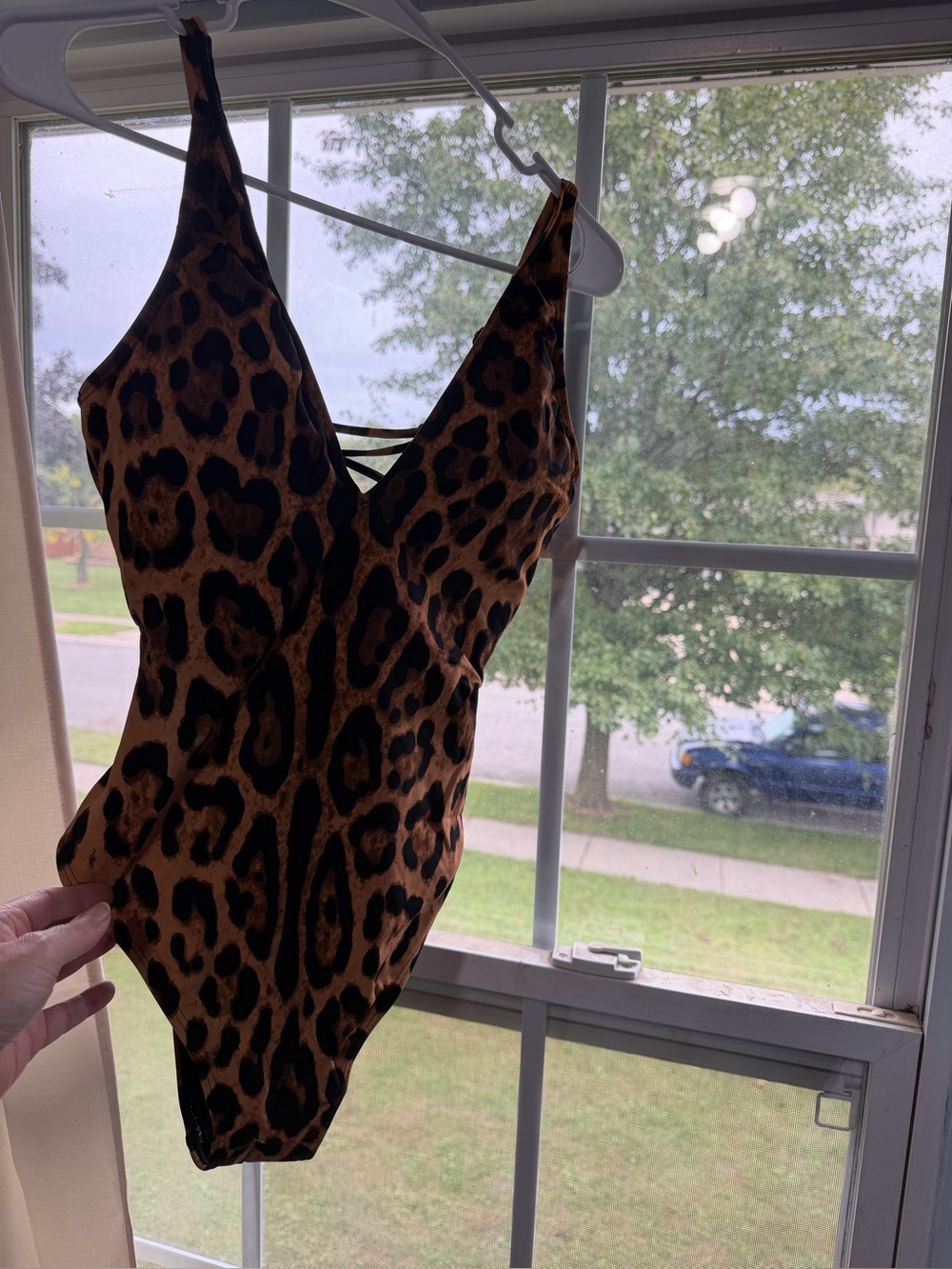 TA3 Leopard Print One-Piece Swimsuit - Brown
